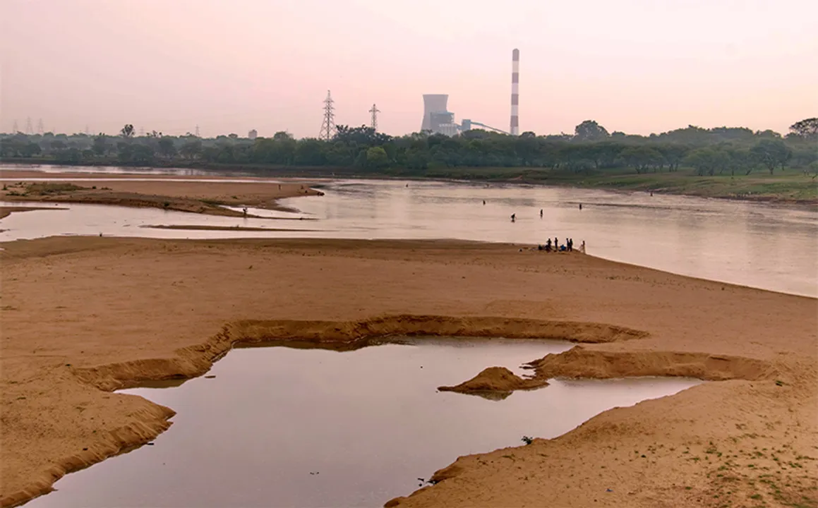  Mongabay-India 