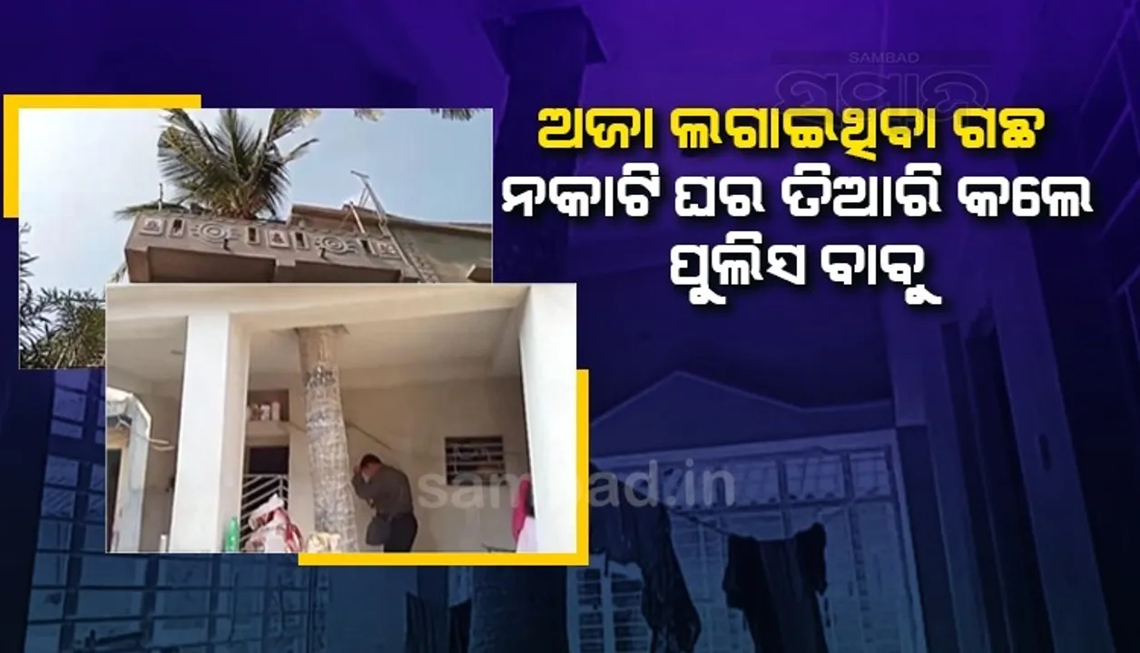 ୩୫ବ‌ର୍ଷ ପୂର୍ବେ ଅଜା ଲଗାଇଥିବା ଗଛକୁ ନକାଟି ଏଭଳି ସୁନ୍ଦର ଘର ତିଆରି କଲେ ପୁଲିସ ବାବୁ