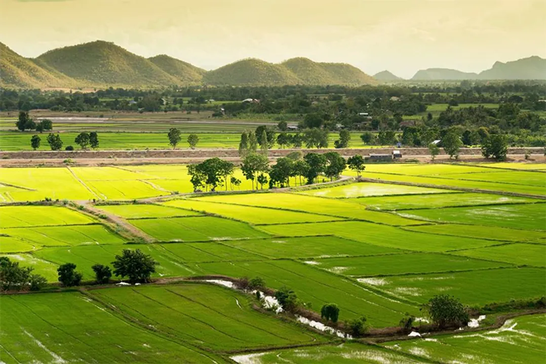  IndiaFilings 