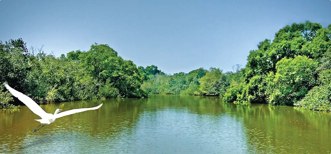  Sambad 