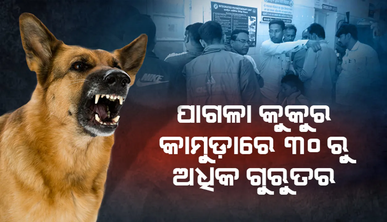 ପାଗଳା କୁକୁର କାମୁଡ଼ାରେ ୩୦ରୁ ଅଧିକ ଲୋକ ଗୁରୁତର