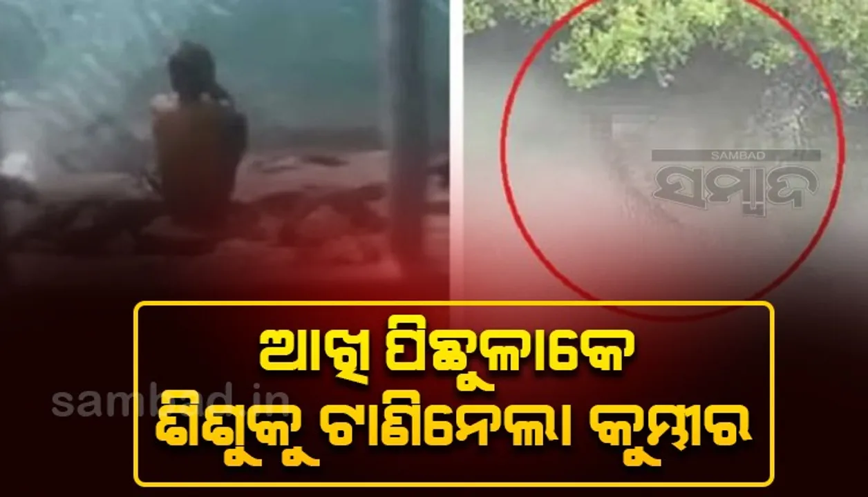  ଡଙ୍ଗାରେ ବାପା ସହ ବସି ଯାଉଥିବା ବେଳେ ଆଖି ପିଛୁଳାକେ ଶିଶୁକୁ ଟାଣିନେଲା କୁମ୍ଭୀର