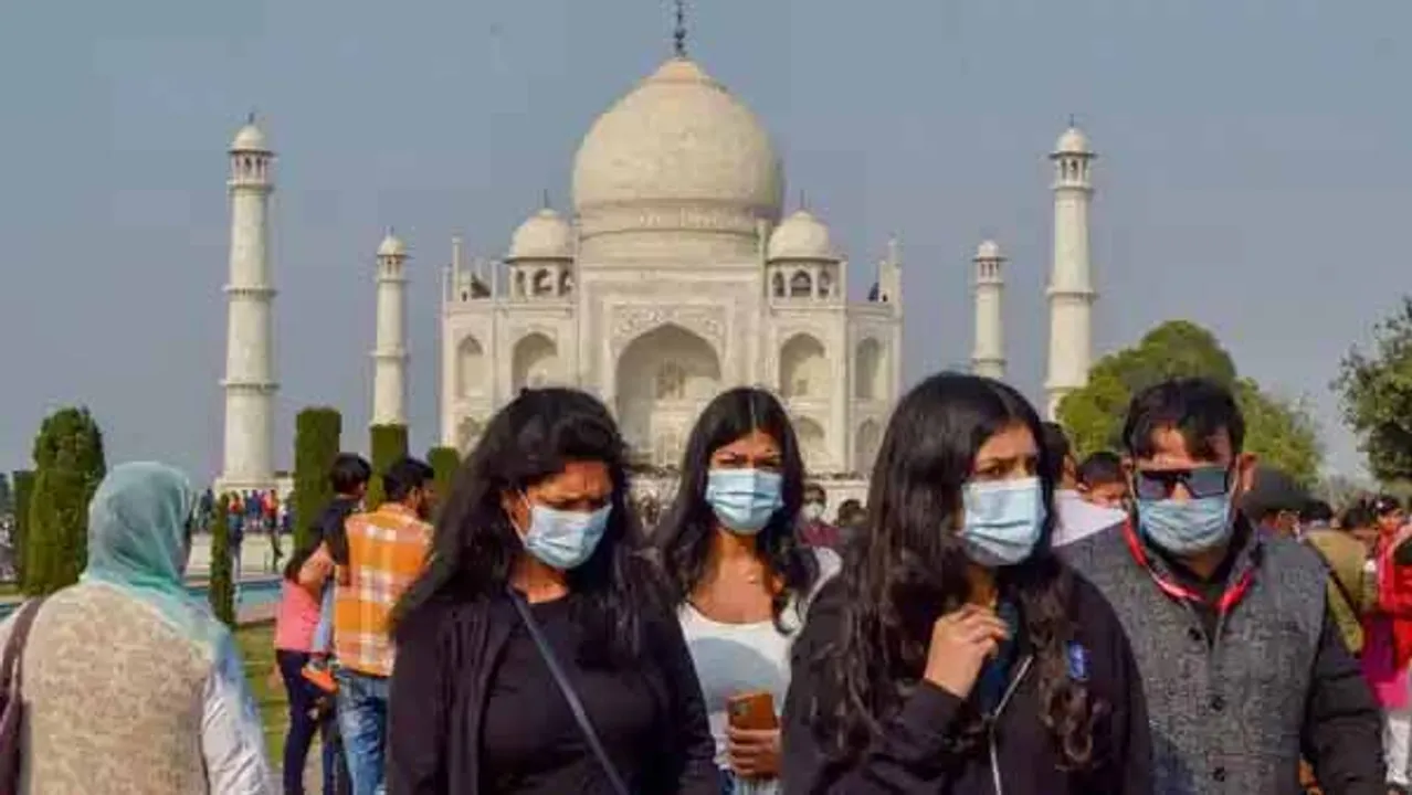  Image Courtesy of Mint 