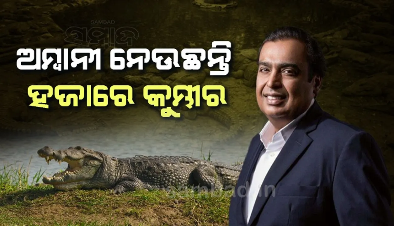  ତାମିଲନାଡ଼ୁରୁ ଗୁଜୁରାଟକୁ ୧ ହଜାର କୁମ୍ଭୀର ନେଉଛନ୍ତି ଅମ୍ବାନୀ