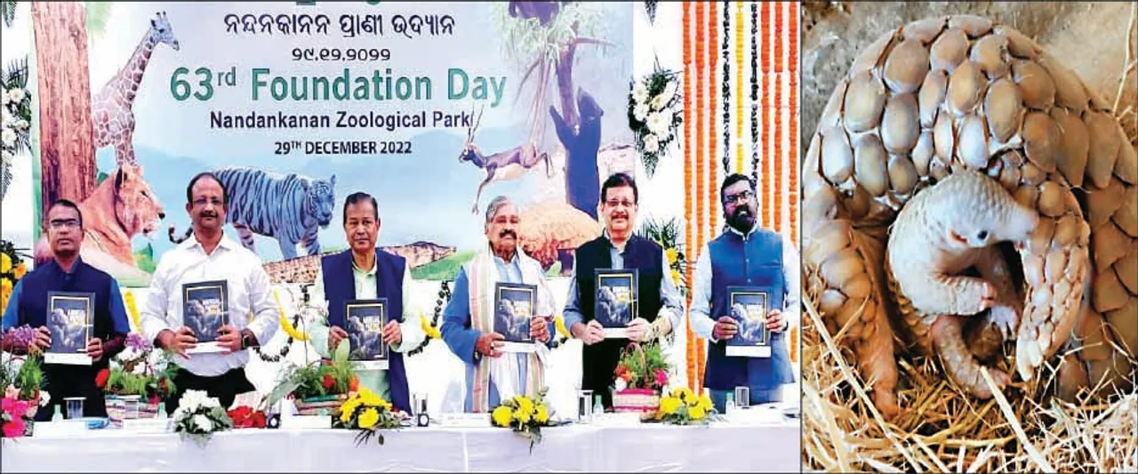  ନନ୍ଦନକାନନର ୬୩ ତମ ପ୍ରତିଷ୍ଠା ଦିବସ: ବଜ୍ରକାପ୍ତା ପ୍ରଜନନ କେନ୍ଦ୍ର ଏକ ମାଇଲ୍‌ ଖୁଣ୍ଟ
