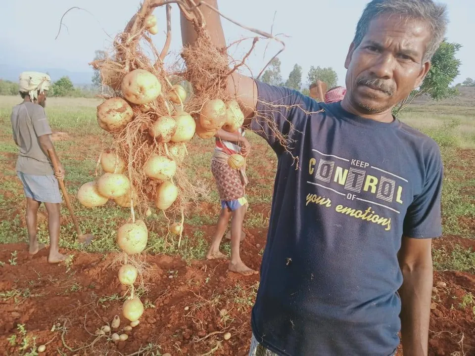  ଶେଷ ହେଲା ମେକ୍‌ ଇନ ଓଡ଼ିଶା କନ‌‌କ୍ଲେଭ, ଆସିବ ତ ପେପ୍ସିକୋର ଆଳୁଚିପ୍ସ କାରଖାନା !