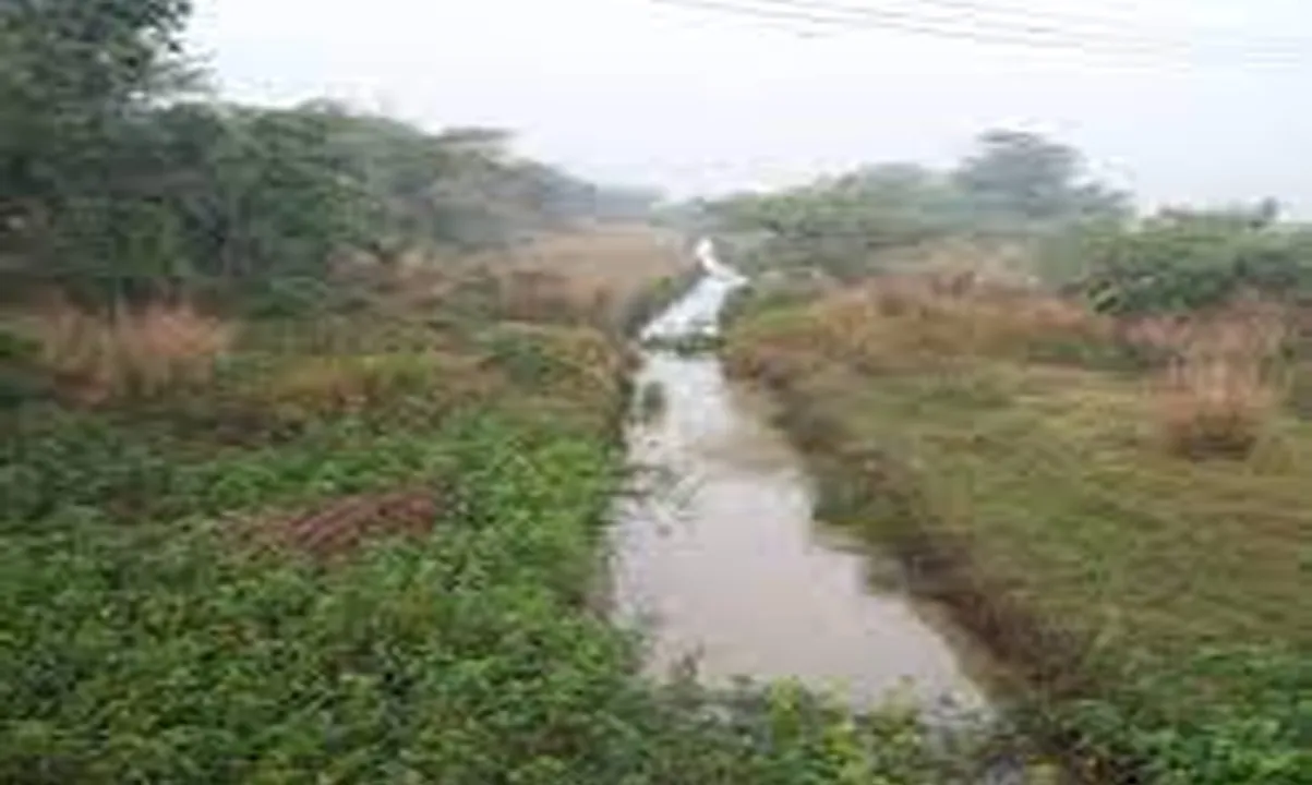  OrissaPOST 