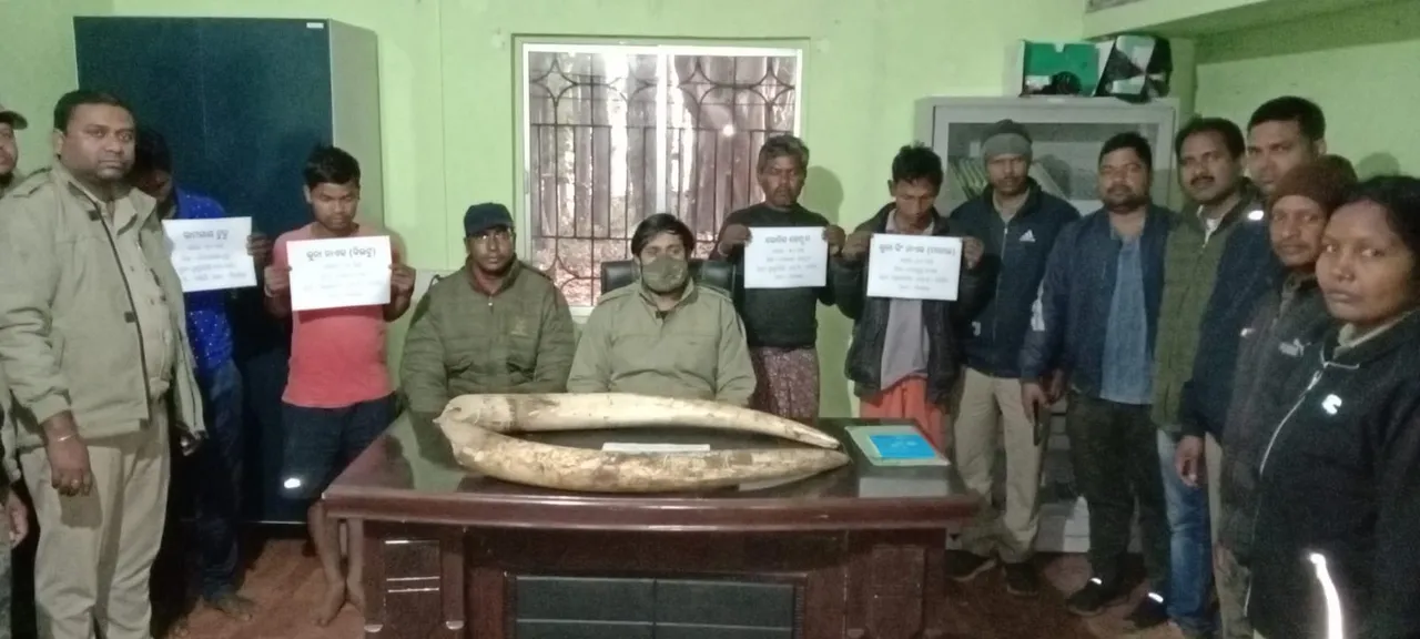  ୪୦ କିଲୋଗ୍ରାମ ଓଜନର ହାତୀଦାନ୍ତ ଜବତ, ୪ ଗିରଫ