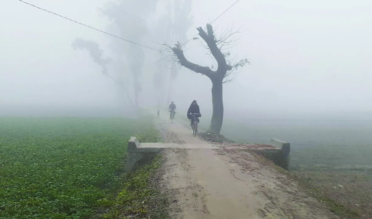  ଦୁଇ ଦିନ ଘନ କୁହୁଡ଼ି