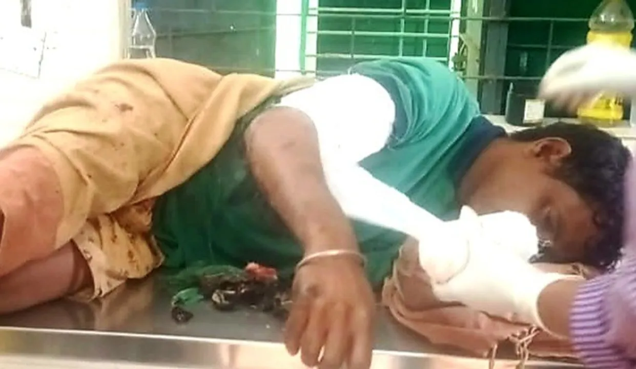  ବାହୁରେ ଫୁଟିଗଲା କାଠଖୁଣ୍ଟା
