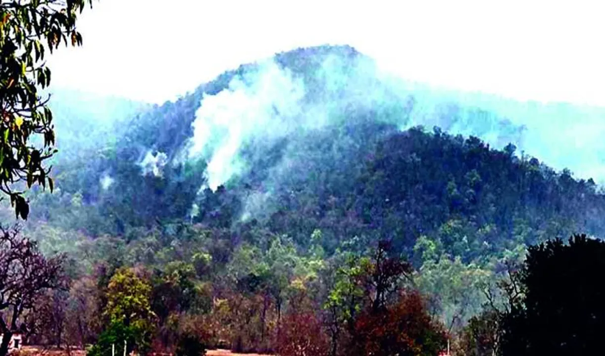  ଶିମିଳିପାଳ ଜଙ୍ଗଲରେ ନିଆଁ