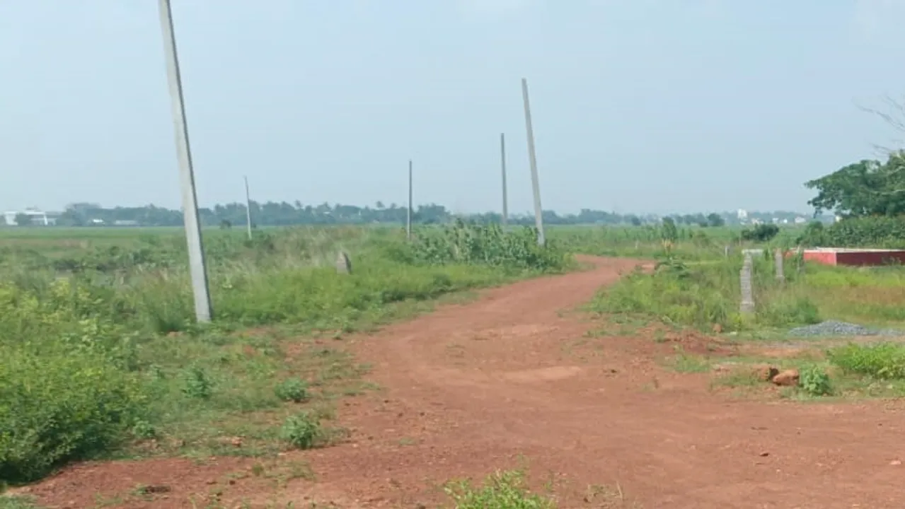  ଗୋଚର ଜମି ହଡ଼ପ କରି ପ୍ଲଟିଂ, ରାଜସ୍ୱ ବିଭାଗ ଜାଣି ଚୁପ