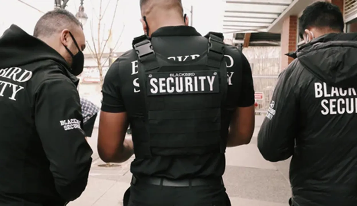  Blackbird Security 