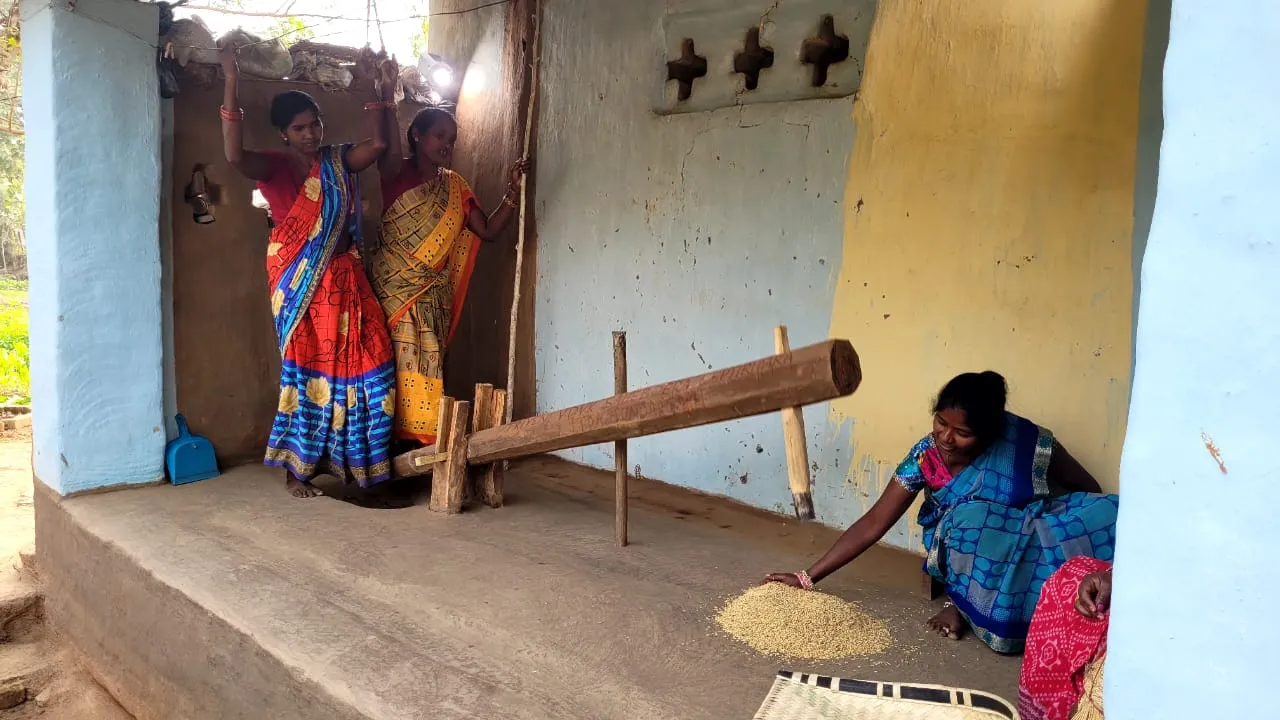  ଆଦିବାସୀ ମହିଳାଙ୍କ ଢିଙ୍କିକୁଟା ଚାଉଳ: ବଢୁଛି ଚାହିଦା, ଦେଉଛି ରୋଜଗାର