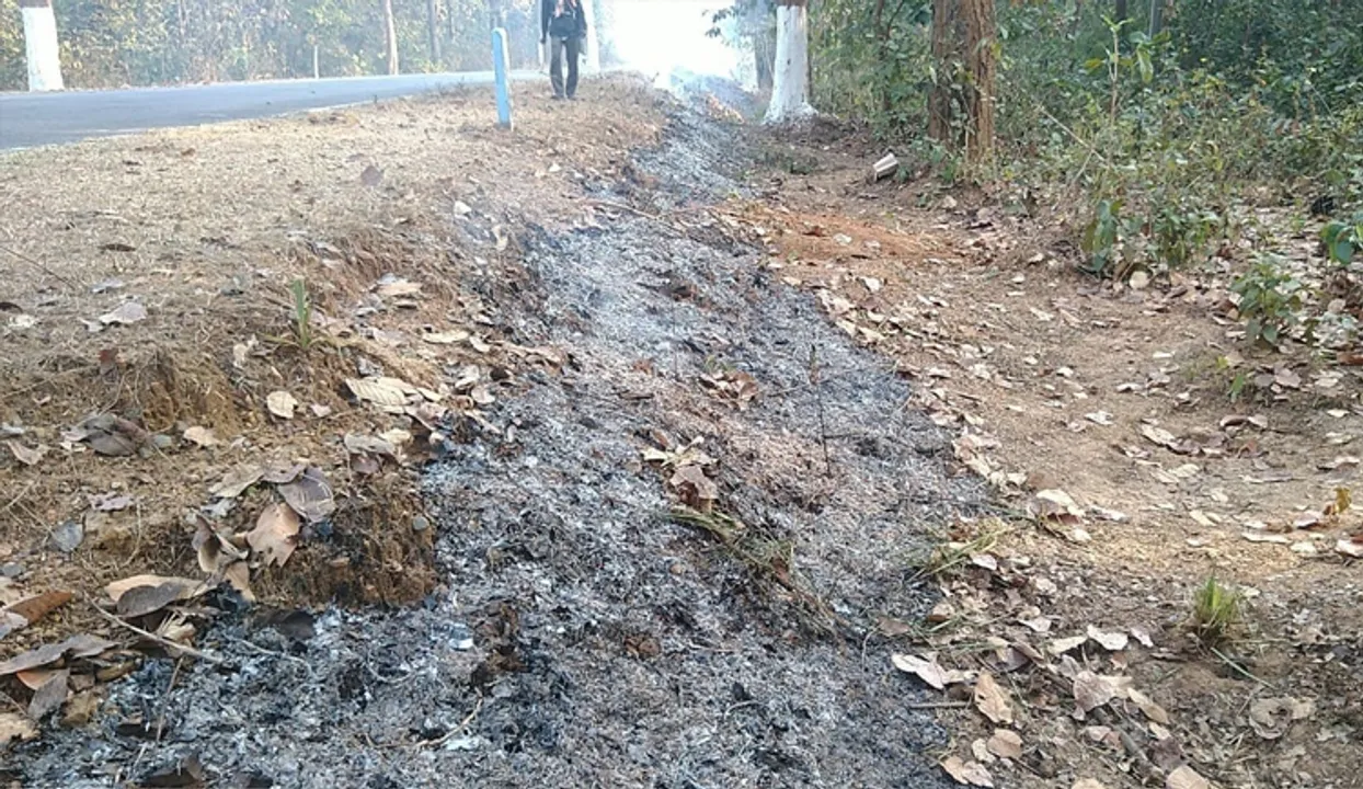  ତାପମାତ୍ରା ୩୦ ଡିଗ୍ରି, ୧୪୨ ଦିନ ହେଲା ବର୍ଷା ନାହିଁ