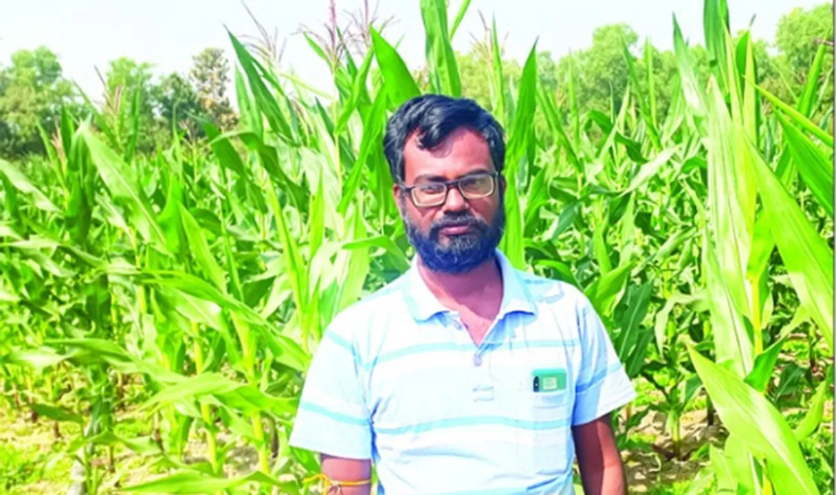  ଘାସ ଓ ମକା ଚାଷରୁ ମାସକୁ ଅଢ଼େଇ ଲକ୍ଷ ରୋଜଗାର