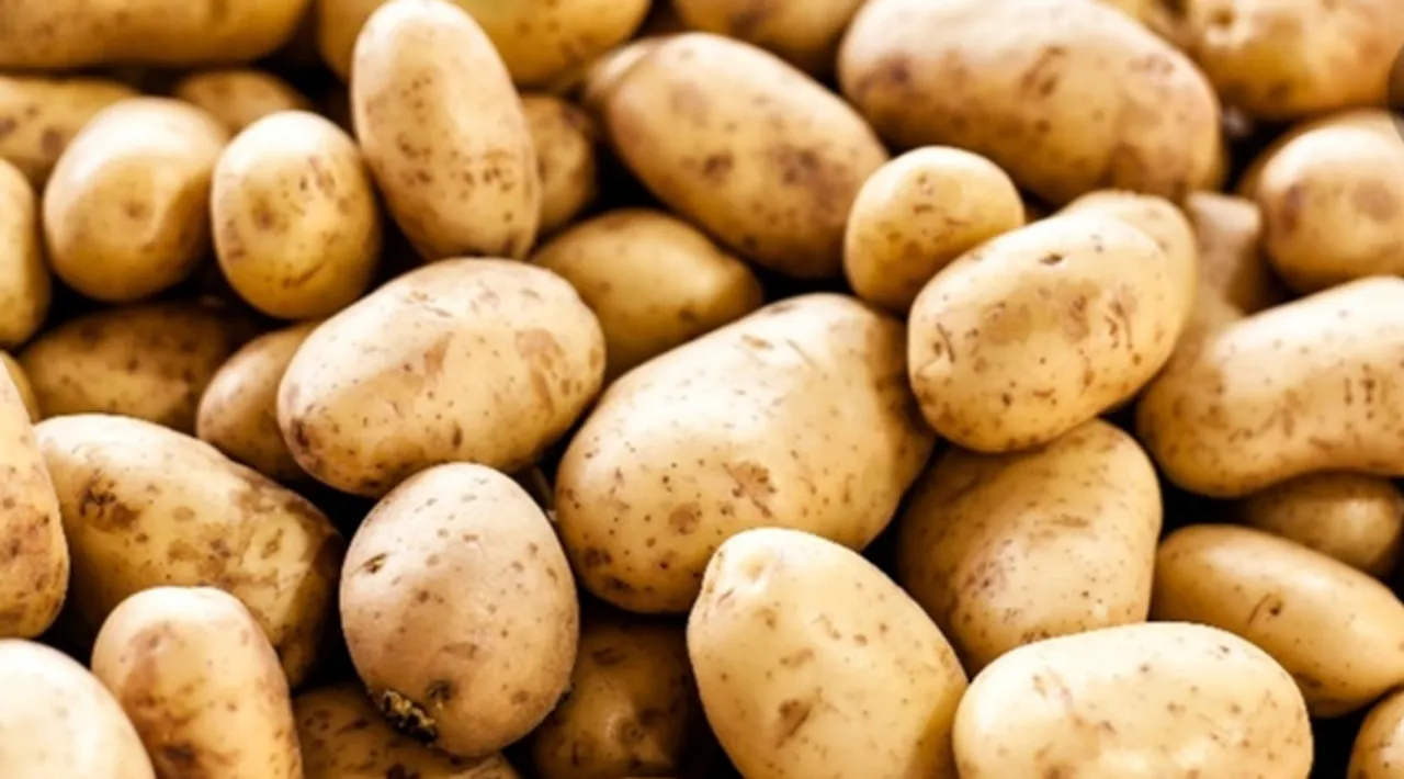  ଶୀତଳଭଣ୍ଡାର ନଥିବାରୁ ଆଳୁ ମିଶନ ଫେଲ୍