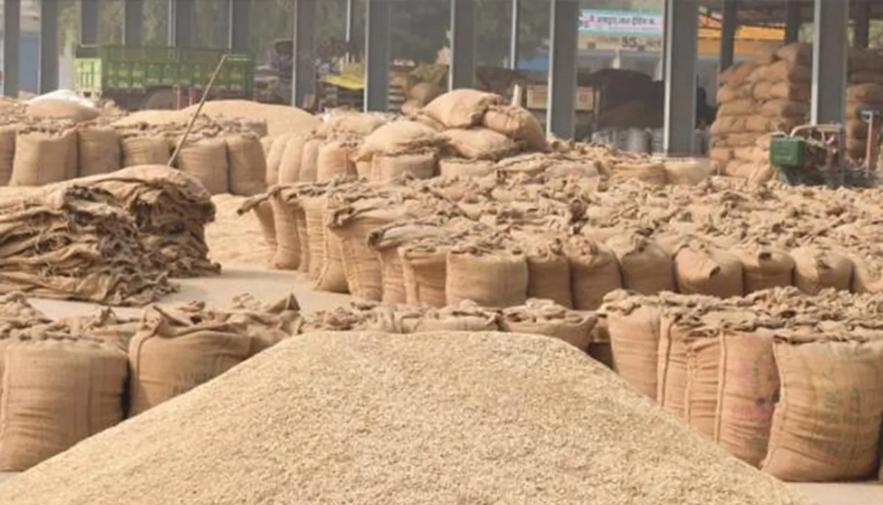  ଧାନ କିଣା ବିକାରେ ଅଚଳାବସ୍ଥା, ଚାଷୀଙ୍କୁ ମିଳୁନି ଧାନ ଟଙ୍କା