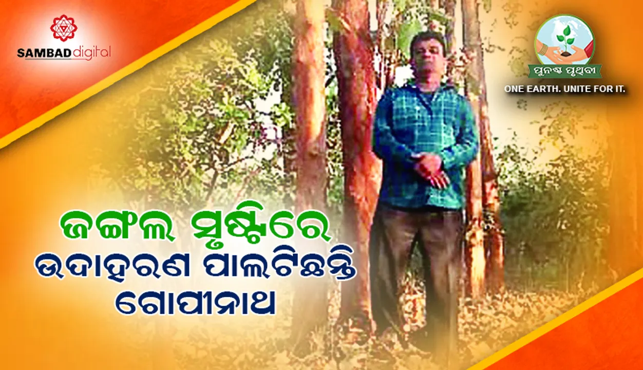  ଜଙ୍ଗଲ ସୃଷ୍ଟିରେ ଉଦାହରଣ ପାଲଟିଛନ୍ତି ଗୋପୀନାଥ