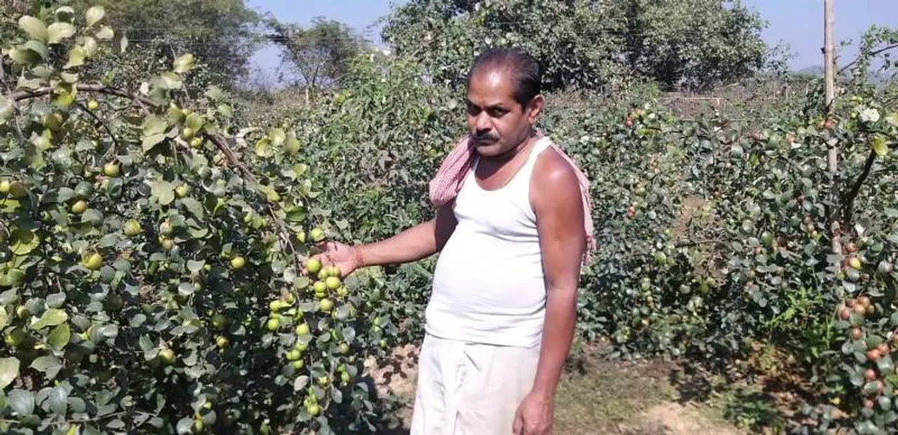  Sambad 