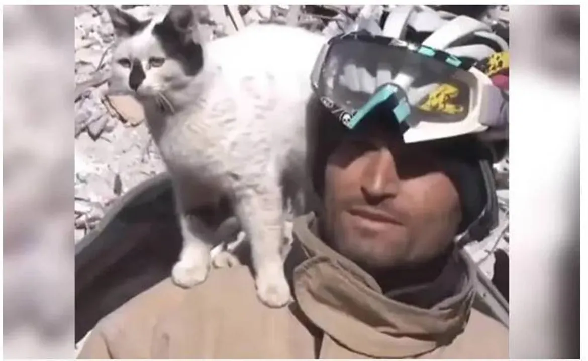  ଧ୍ବଂସସ୍ତୂପ ତଳୁ ଉଦ୍ଧାର ହେବା ପରେ କର୍ମଚାରୀଙ୍କ ପାଖ ଛାଡ଼ୁନାହିଁ ବିଲେଇ, କାନ୍ଧରେ ବସି ହେଉଛି ଗେଲ୍ହା