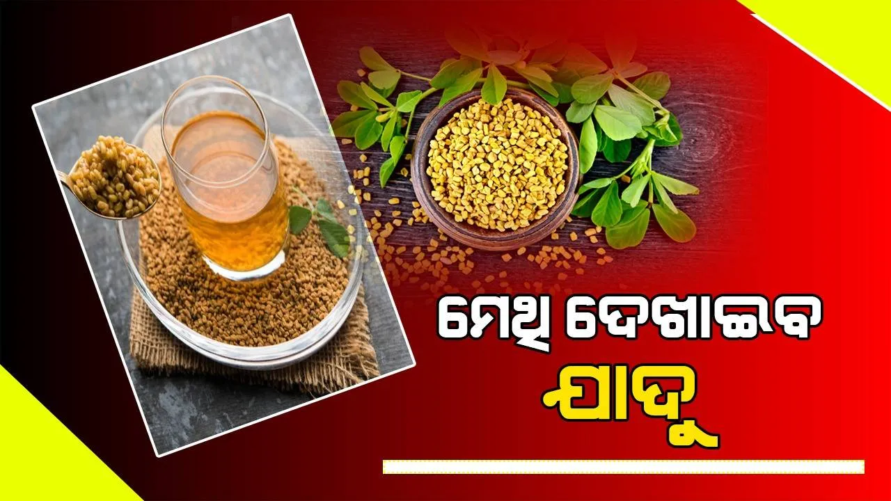  ଆପଣଙ୍କ କେଶ ସମସ୍ୟାକୁ ସମାଧାନ କରିପାରେ ମେଥି ପାଣି, ଜାଣନ୍ତୁ କିଭଳି ବ୍ୟବହାର କରିବେ