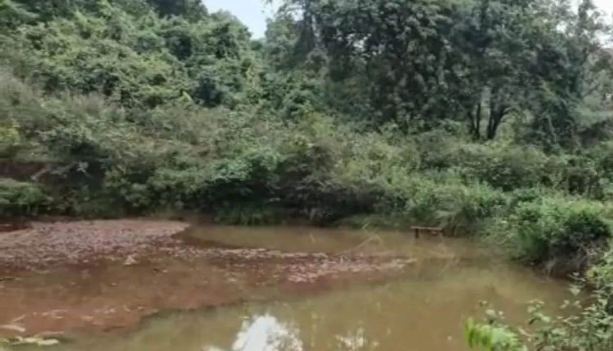  ପ୍ରଦୂଷଣକାରୀଙ୍କୁ ପ୍ରଦୂଷଣ ବିଭାଗର କ୍ଲିନ୍‌ଚିଟ୍‌ ! ଅସ୍ତିତ୍ବ ହରାଉଛନ୍ତି ଅନେକ ଛୋଟ ନଦୀ ଓ ଝରଣା