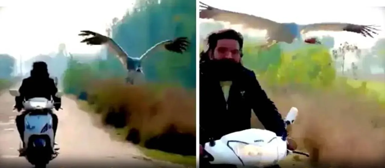  ଆରିଫଙ୍କ ପାଇଁ ନୂଆ ଜୀବନ ପାଇବା ପରେ ପାଖ ଛାଡ଼ୁନାହିଁ ପକ୍ଷୀ; ମାଲିକ ଯେଉଁଆଡେ ଯାଆନ୍ତି ସେ ବି ଉଡିଉଡ଼ି ପହଞ୍ଚିଯାଏ