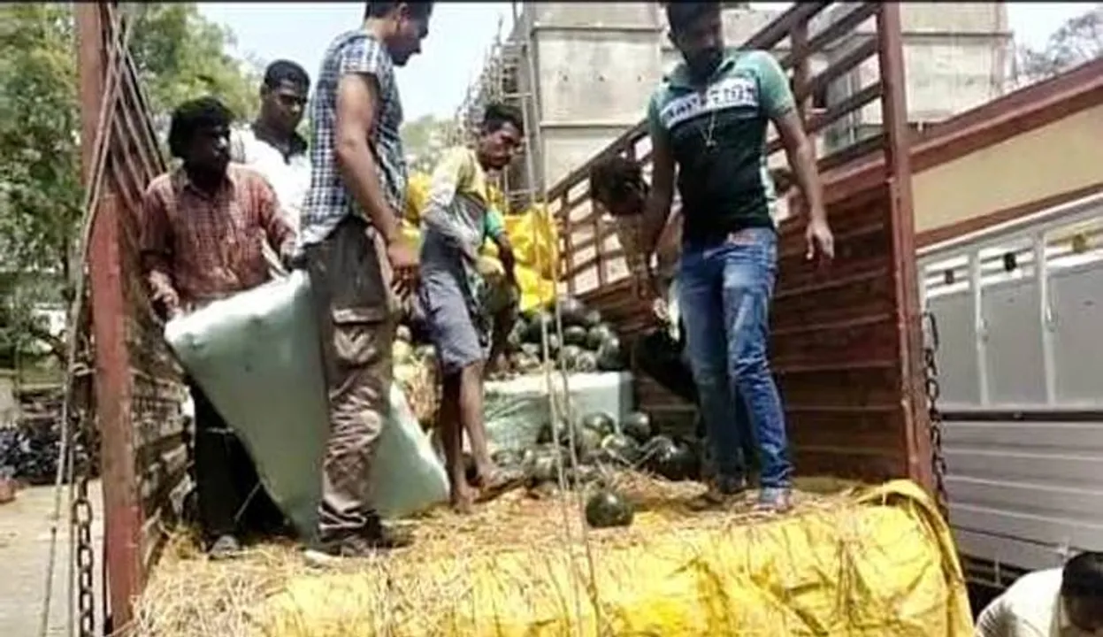  ତରଭୁଜ ଟ୍ରକ୍‌ରେ ଗଞ୍ଜେଇ ଚୋରାଚାଲାଣ