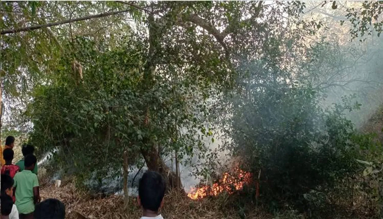  ୨୦ ବାଉଁଶ ବୁଦା ଜଳିଗଲା