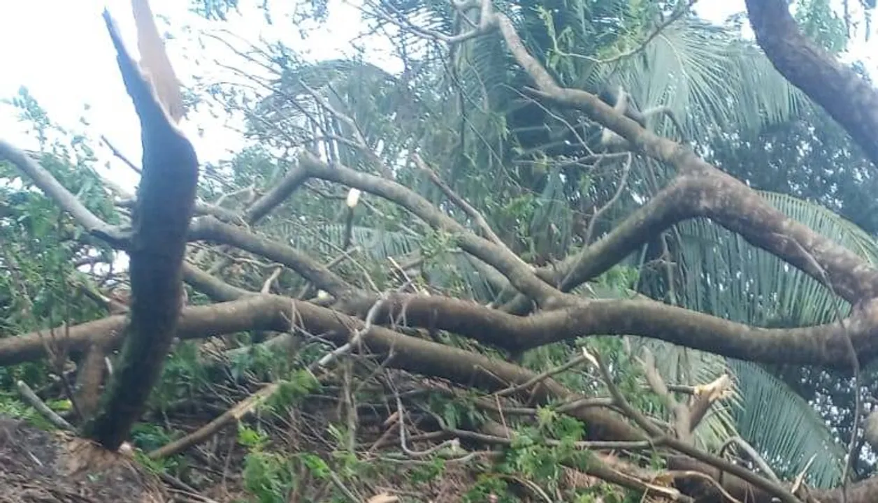  ଝଡ଼ତୋଫାନରେ ବ୍ୟାପକ କ୍ଷୟକ୍ଷତି