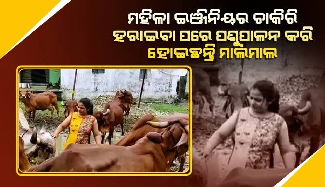  କରୋନା ଚାକିରି ଛଡ଼ାଇ ନେବାପରେ ଇଞ୍ଜିନିୟର ମହିଳା ପଶୁପାଳନ କରି ହୋଇଛନ୍ତି ମାଲାମାଲ