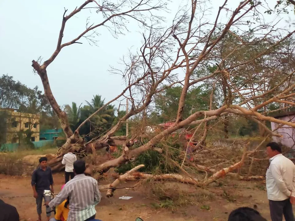  ଭଦ୍ରକ ଜିଲ୍ଲା ବନ୍ତରେ କାଳବୈଶାଖୀର ତାଣ୍ଡବ, ଉପୁଡ଼ିଲା ମହାଦ୍ରୁମ।