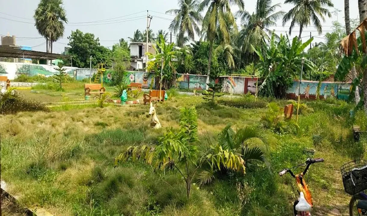  ଜଙ୍ଗଲ ପାଲଟିଛି ଗ୍ରାମୀଣ ପାର୍କ, ରକ୍ଷଣାବେକ୍ଷଣ ହେଉନି