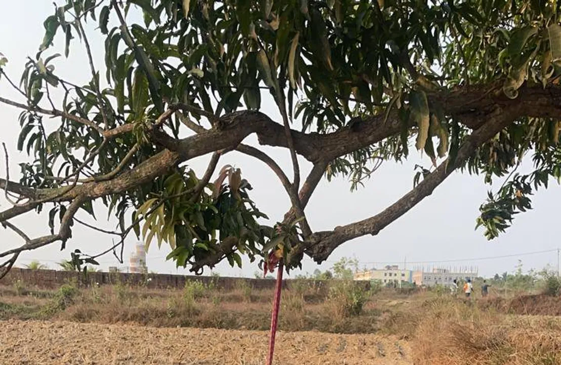  ରାଜଧାନୀ ଉପକଣ୍ଠ ମଦନପୁରରେ ଜଣଙ୍କ ଝୁଲନ୍ତା ମୃତଦେହ ଉଦ୍ଧାର, ହତ୍ୟା ଅଭିଯୋଗ