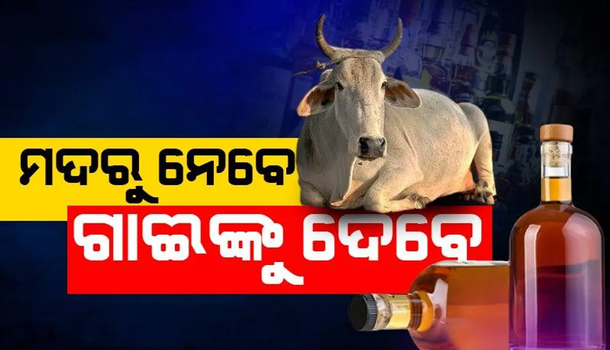  ମଦ ବୋତଲ ପିଛା ୧୦ ଟଙ୍କା ଲେଖାଏଁ ଟିକସ ନେଇ ଗାଈଙ୍କ ପାଇଁ ଖର୍ଚ୍ଚ କରିବେ ସୁଖୁ ସରକାର