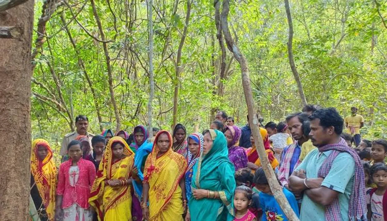  ପୁରୀ ରଥଯାତ୍ରା ପାଇଁ ଘୁମୁସର ବନଖଣ୍ଡରୁ ଯିବ କାଠ, ଗଛକଟା ଆରମ୍ଭ