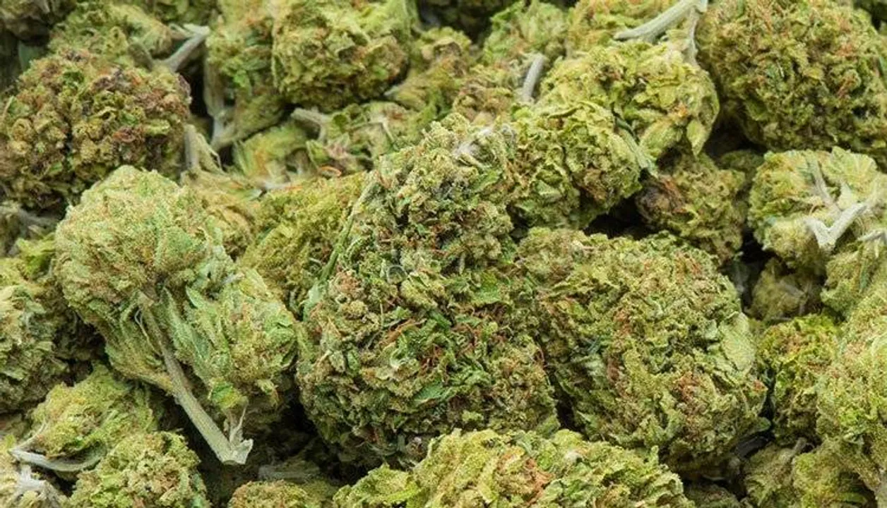  (representational immage) 
Alcohol and Drug Foundation 