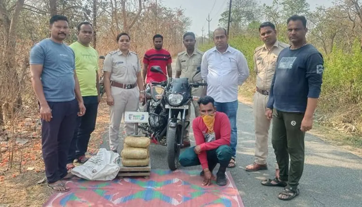  ଗଞ୍ଜେଇ ଜବତ, ଜଣେ ଗିରଫ
