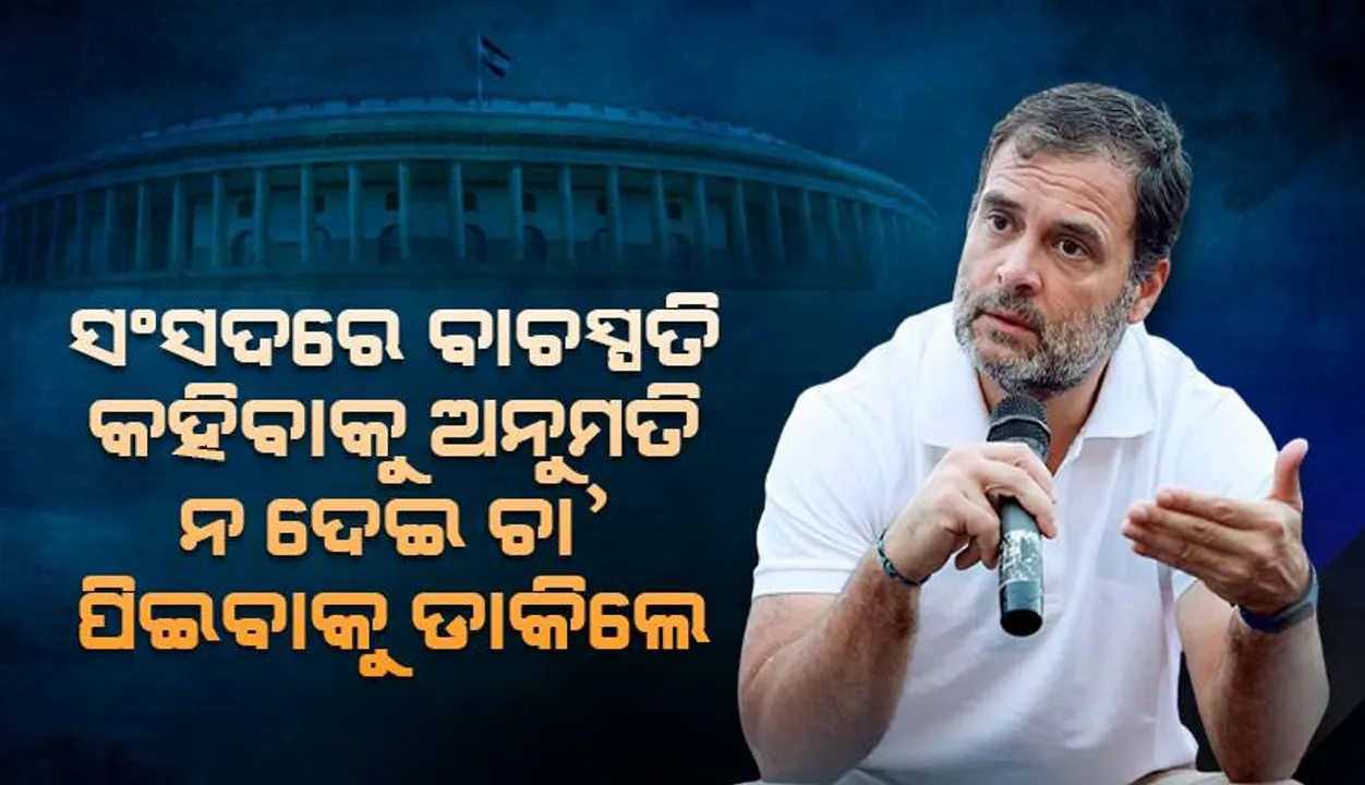  କହିବାକୁ ଅନୁମତି ମିଳୁନି କାହିଁକି ବୋଲି ପଚାରିବାରୁ ସ୍ମିତ ହସି ବାଚସ୍ପତି ମତେ ଚା ପିଇବାକୁ ଡାକିଲେ : ରାହୁଲ୍‌ ଗାନ୍ଧୀ