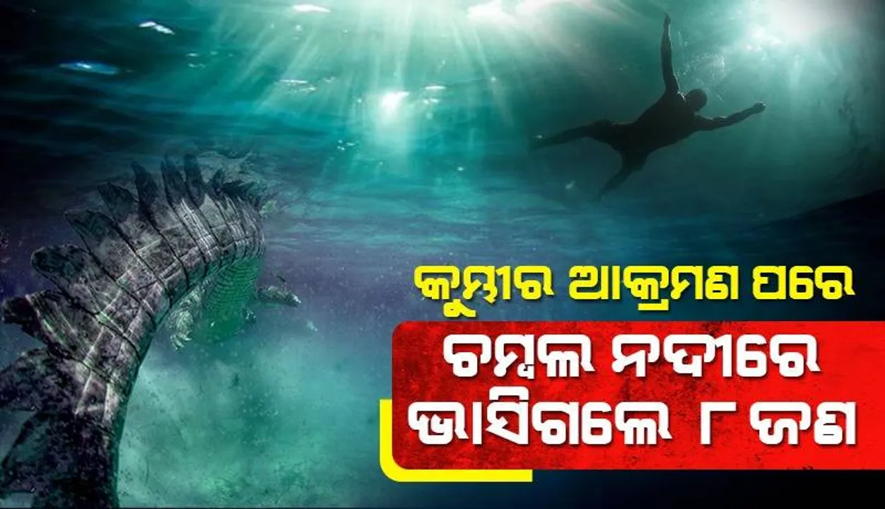  କୁମ୍ଭୀର ଆକ୍ରମଣ ପରେ ଚମ୍ବଲ ନଦୀର ଭାସିଗଲେ ୮ ଜଣ