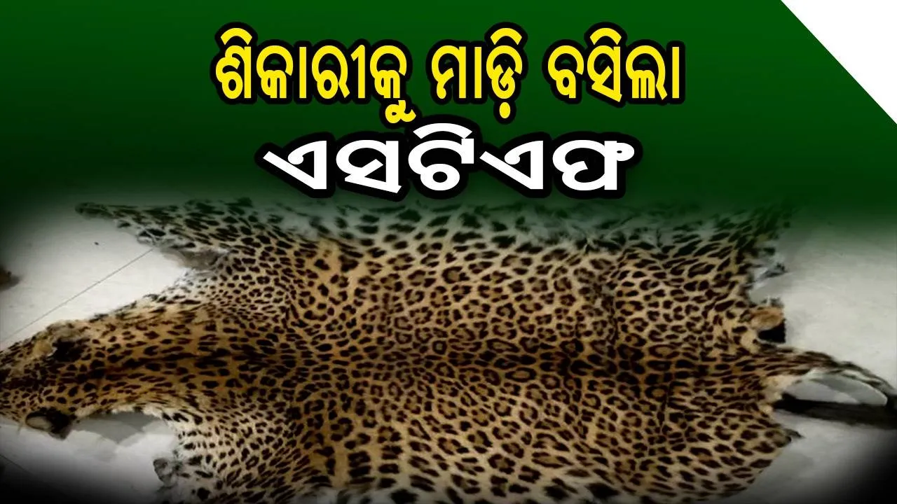  କଲରାପତରିଆ, ହରିଣ ଓ କୁଟୁରା ଛାଲ ଜବତ: ଶିକାରୀ ଗିରଫ
