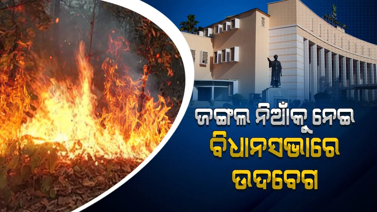  ନିଆଁ ଲାଗିଥିବା ୯୮ ପ୍ରତିଶତ ଅଞ୍ଚଳ ଉପରେ ଅନୁଧ୍ୟାନ କରାଯାଉଛି: ଜଙ୍ଗଲ ଓ ପରିବେଶ ମନ୍ତ୍ରୀ