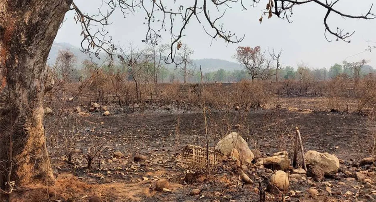  ମହୁଲ ଫୁଲ ପାଇଁ ଜଳୁଛି ଜଙ୍ଗଲ, ପଥପ୍ରାନ୍ତ ବନୀକରଣ ବି ବାଦ୍‌ ପଡୁନି