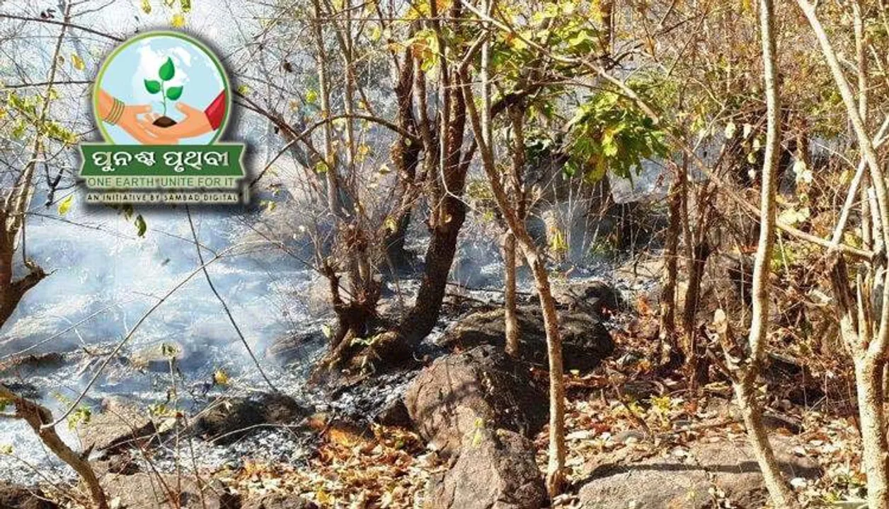  ସବୁଠି ଜଳୁଛି ପାହାଡ଼, ବିପଦରେ ସାମନ୍ତିଆପଲ୍ଲୀ ମୟୂର