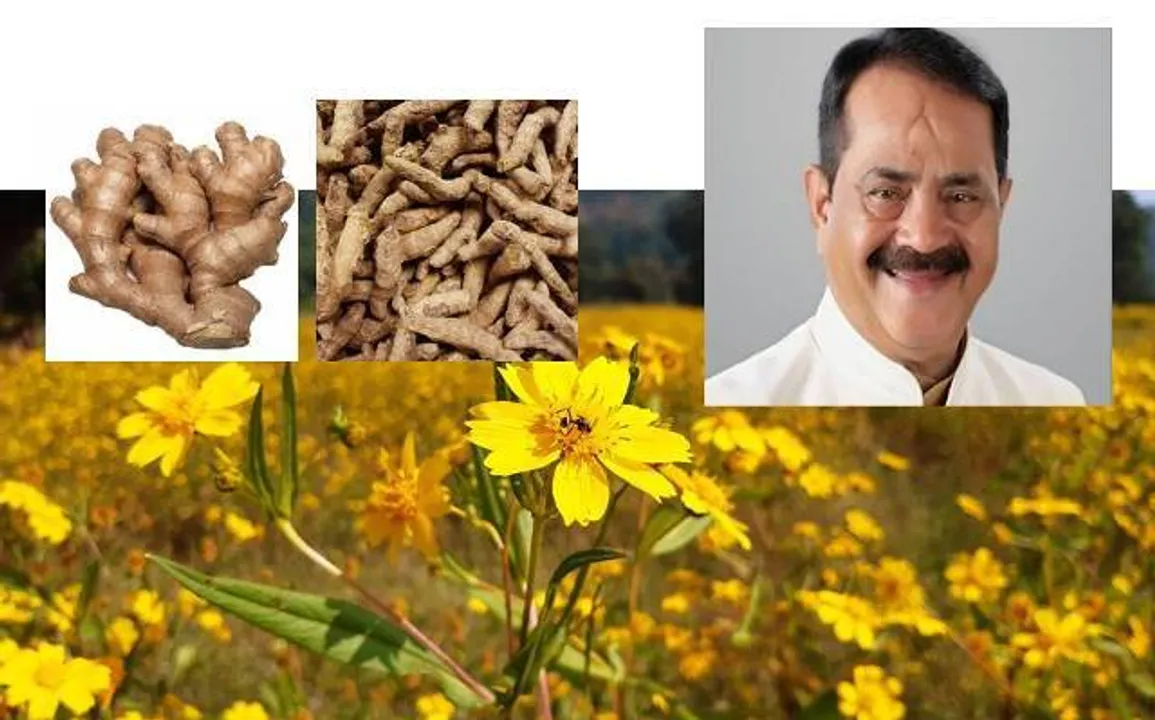  ଶୀତଳଭଣ୍ଡାର ନାହିଁ: ଚା‌ଷୀମାନେ ଅଦା, ହଳଦୀ ଓ ଅଳସୀ ସାଇତି ରଖି ପାରୁନାହାନ୍ତି: ତାରା