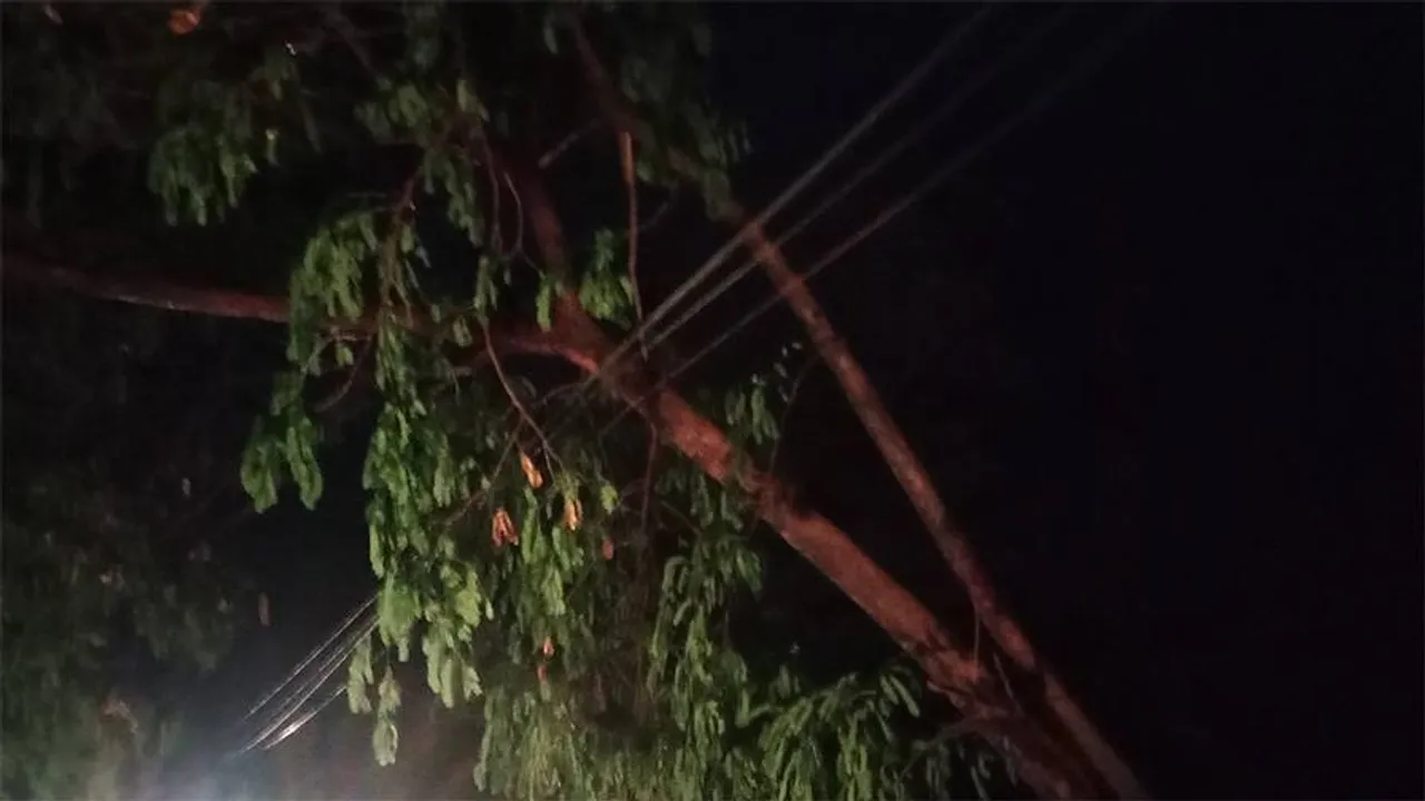  ଝଡ଼ ତୋଫାନ ଓ କୁଆପଥର ମାଡ଼ରେ ଛିଣ୍ଡିଲା ବିଦ୍ୟୁତ୍‌ ତାର, ଟ୍ରକ ଓଲଟିଲା