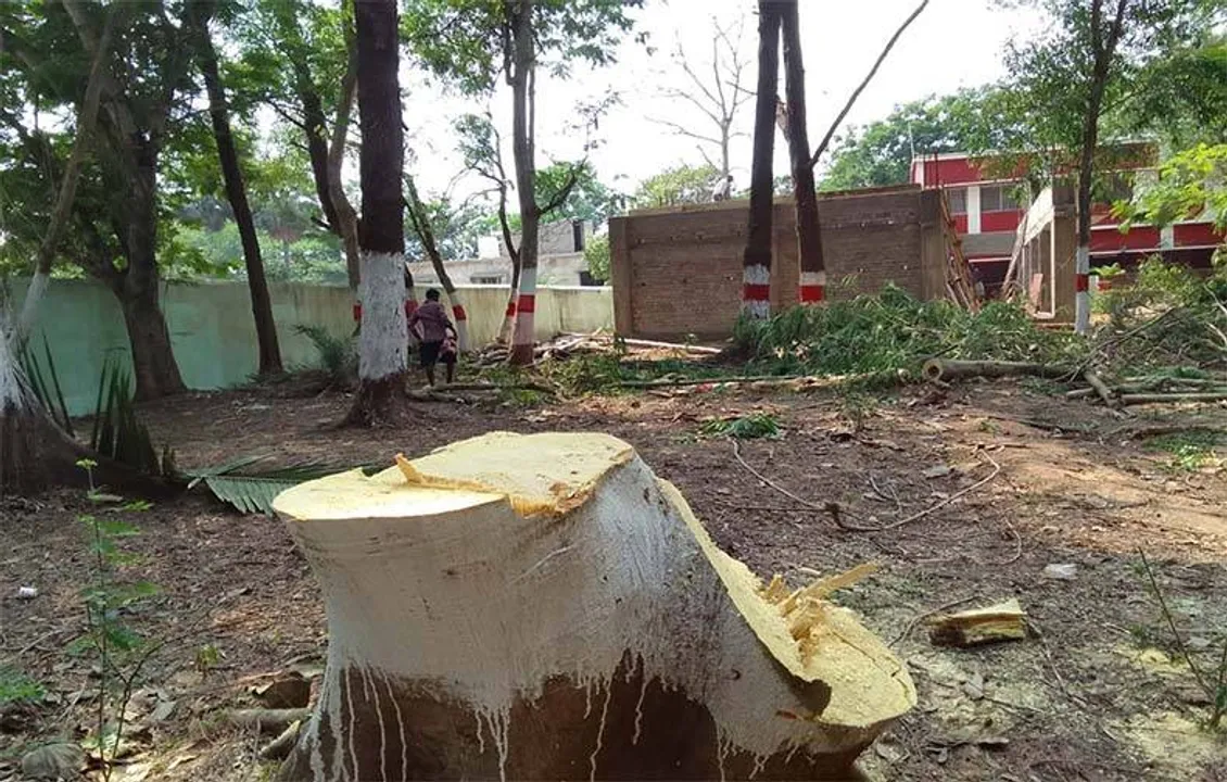  ବିଦ୍ୟାଳୟ ପରିସରରୁ ଗଛକଟାକୁ ବିରୋଧ