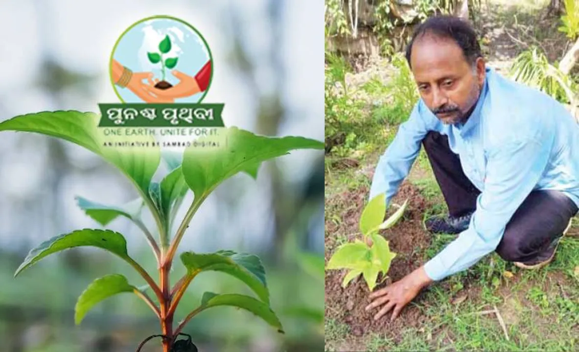  ପେସା ଶିକ୍ଷକତା, ନିଶା ବୃକ୍ଷରୋପଣ: ୩୫ ବର୍ଷରେ ଦେଢ଼ଲକ୍ଷ ଗଛ ରୋପଣ