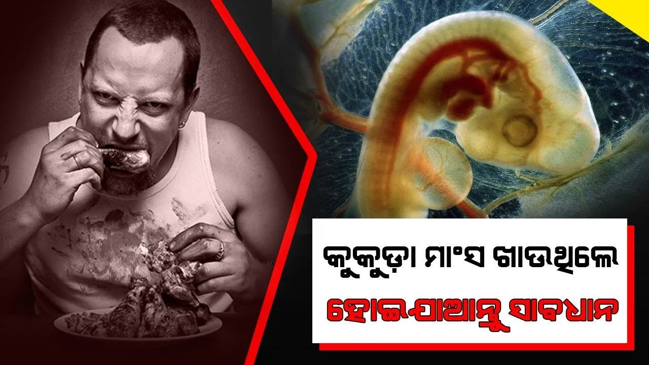  କୁକୁଡ଼ା ଭ୍ରୂଣରୁ ମିଳିଲା ପ୍ଲାଷ୍ଟିକ, ମଣିଷ ଶରୀର ଉପରେ ପଡ଼ିପାରେ ଏଭଳି ପ୍ରଭାବ!